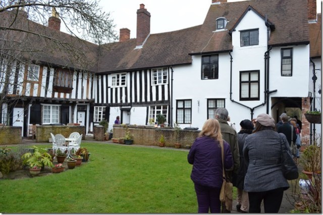 This is the unexpected garden