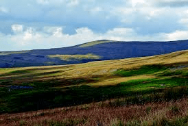 Thack moor